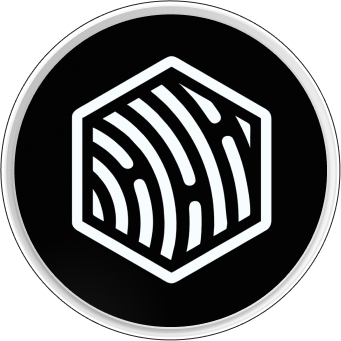 Nirvana Academy Logo